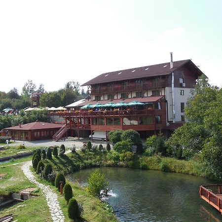 Complex Pastravaria Albota Arpaşu de Sus Εξωτερικό φωτογραφία